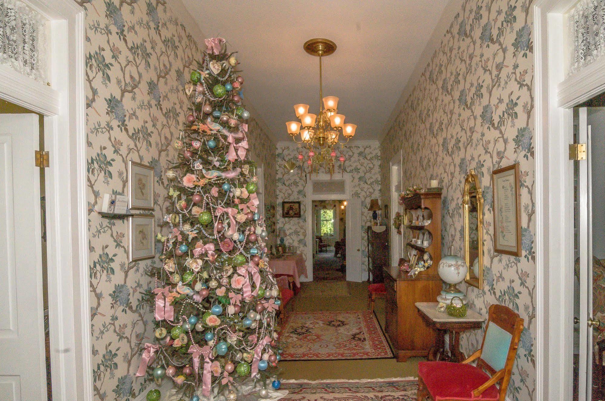 Bed and Breakfast Holly House Of Hamilton Exterior foto